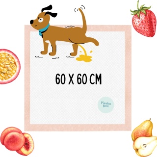 Record - Podkłady dla szczeniąt z plastrami mocującymi o zapachu owoców 60x60cm - 10szt