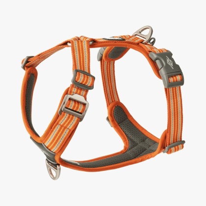 Szelki dla psa DOG Copenhagen Comfort Walk AIR™ 3.0 – Pomarańczowe