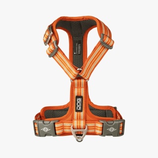 Szelki dla psa DOG Copenhagen Comfort Walk AIR™ 3.0 – Pomarańczowe