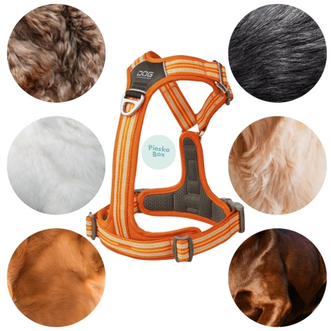 Szelki dla psa DOG Copenhagen Comfort Walk AIR 3.0 pomarańczowe - pieskobox