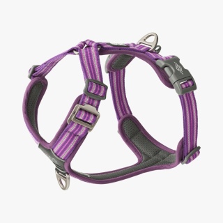 Szelki dla psa DOG Copenhagen Comfort Walk AIR™ 3.0 – Fioletowe