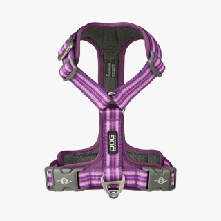 Szelki dla psa DOG Copenhagen Comfort Walk AIR™ 3.0 – Fioletowe