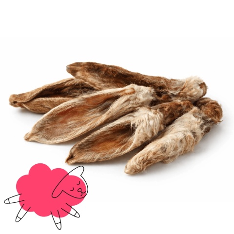 Pausesnack Ucho Jagnięce z Sierścią 100 g – naturalny gryzak dla psa