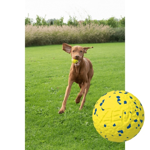 Zeus NITRO piłka dla psa 7,6 cm duża elastyczna