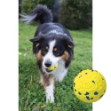 Zeus NITRO piłka dla psa 6,3 cm elastyczna