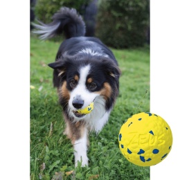 Zeus NITRO piłka dla psa 6,3 cm elastyczna