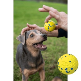 Zeus NITRO piłka dla psa 5 cm elastyczna