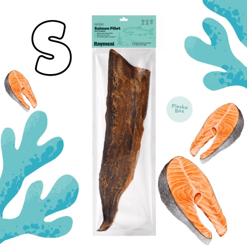 Raymeal Ocean Series Salmon Fillet S - mały filet z łososia, naturalny przysmak rybny dla psa 1 szt.