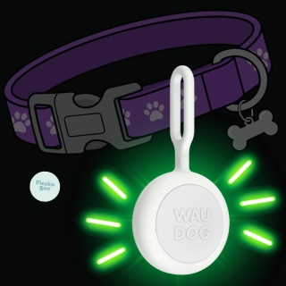 WAUDOG LED - lampka do obroży dla psa 37mm