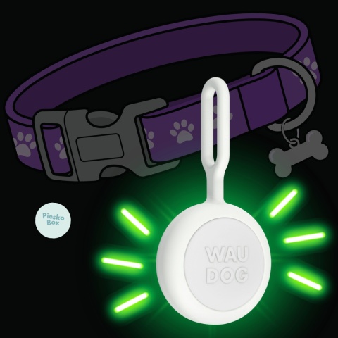 WAUDOG LED - lampka do obroży dla psa w świecącej silikonowej obudowie, ładowana przez USB-C