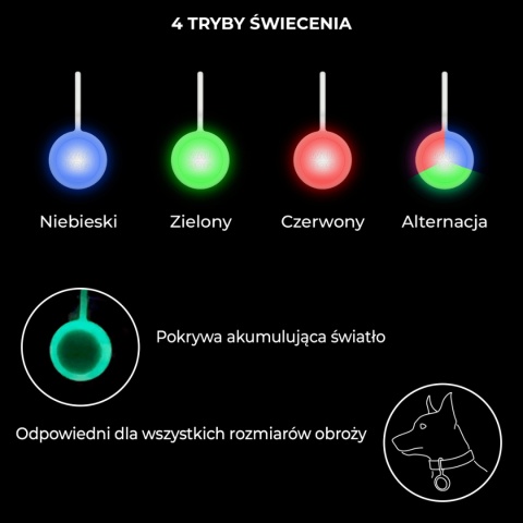 WAUDOG LED - lampka do obroży dla psa pieskobox