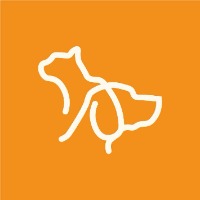 DELIGUARD – naturalne postbiotyki wspierające zdrowe jelita i odporność psów. 